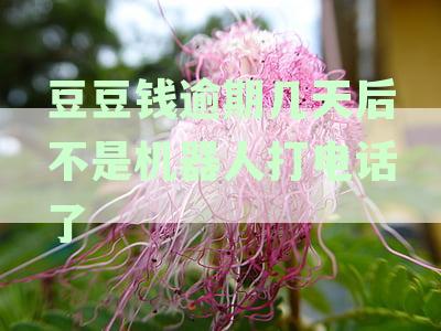 豆豆钱逾期两天说要打我联系人是真的吗-豆豆钱逾期四天他们说要打电话给我家人
