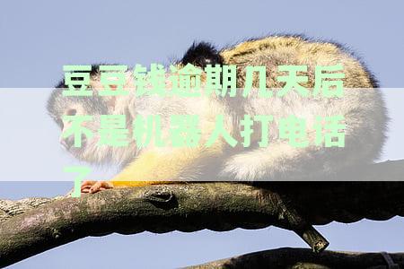 豆豆逾期多久天会联系紧急联系人并给予电话提醒