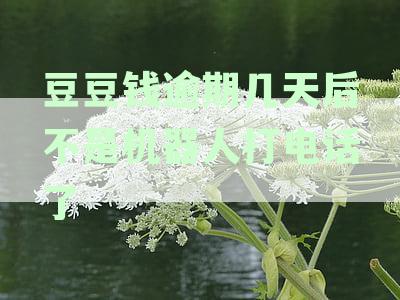 豆豆钱逾期解约全解析：逾期8天面临解约电话，用户如何应对与处理