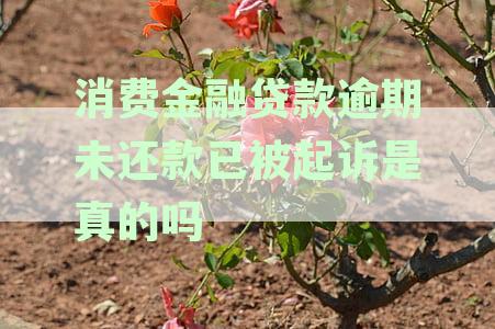 消费金融贷款逾期是否会起诉：逾期贷款处理的全面指南与后果解析