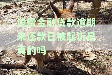 消费金融逾期会被起诉吗：逾期处理、征信影响及法律后果一览