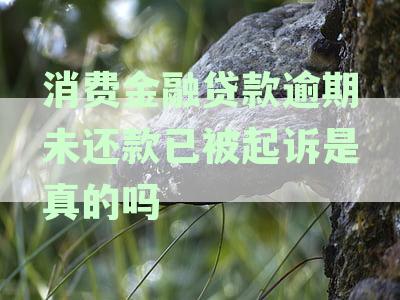 消费金融贷款逾期未还款已被起诉是真的吗