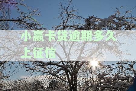 逾期几天小赢卡贷多久会上征信，后果怎么样，几天后果天会愈发严重