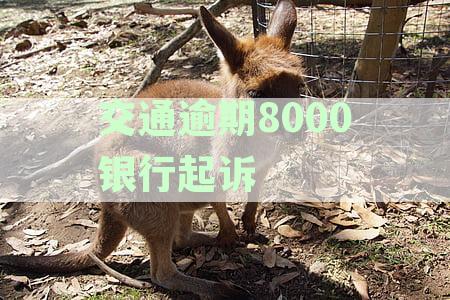 交通银行逾期法院起诉：流程、效用、时长、协商还款可能性及应对措
