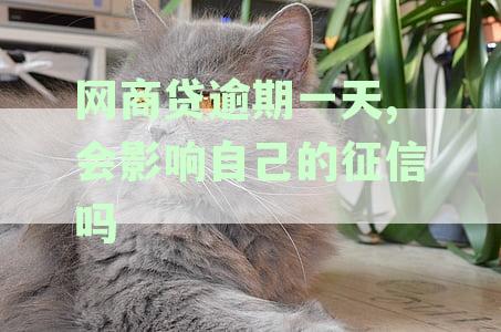 网商贷逾期一天,会影响自己的征信吗