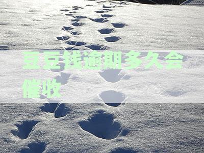 豆豆逾期多少个月会触发法律起诉，逾期多久会被正式起诉？