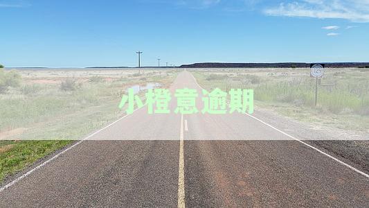 逾期借款处理指南：小橙意逾期怎么处理及其后果与信用影响