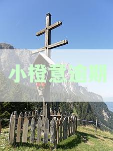 小橙意逾期会爆通讯录吗：逾期多久会打通讯录，贷款逾期后果解析