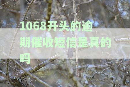 1068开头的逾期催收短信是真的吗0532-1068开头的逾期催收短信是真的吗