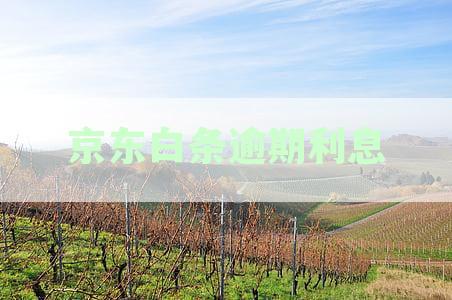 逾期利息过高怎么办：如何应对高额逾期费与罚息问题