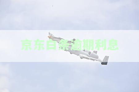 如何计算逾期利息：每天还款利息多少及具体计算方法