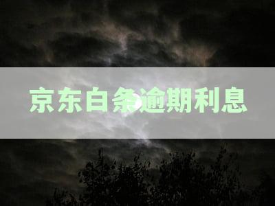 逾期利息费超本金处理指南：还款责任与法律途径详解
