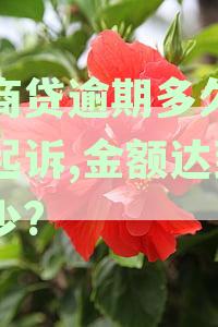 网商贷逾期多少天会起诉，我已经还了2000多，逾期金额达到多少会被起诉？