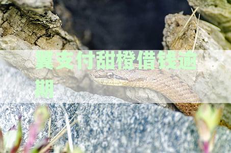 翼支付甜橙借钱逾期还款难题解析：如何应对还款困境与解决方案