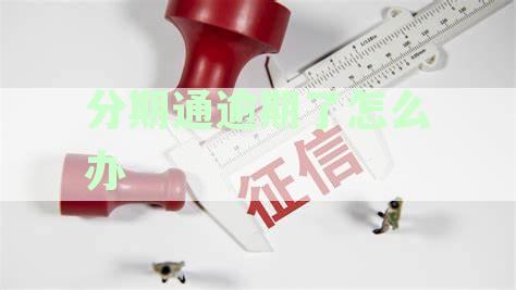 分期通逾期还款对征信记录的影响及处理方法详解