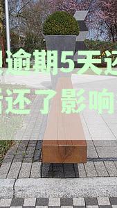 逾期还款5天后，及时清除借呗债务，是否会影响到个人征信记录