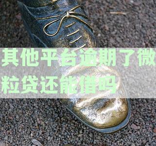 别的平台逾期影响微粒贷吗：逾期后微粒贷还能使用及借款安全性分析