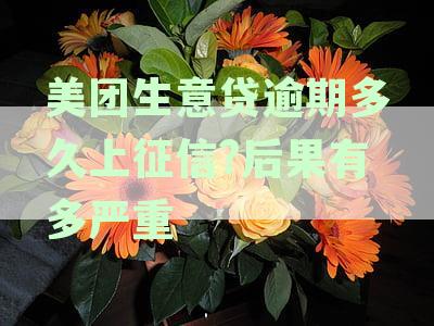 美团生意贷逾期上征信后果严重：逾期多久会被取消分期？