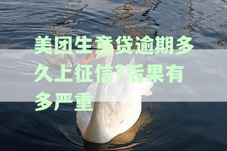 美团生意贷逾期对征信的影响及还款周期解读