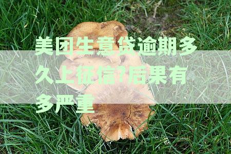 美团生意贷逾期还款的全面后果解析：几个月未还款可能面临的影响与解决方案