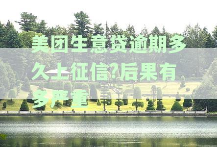 美团生意贷逾期后的法律责任与应对策略