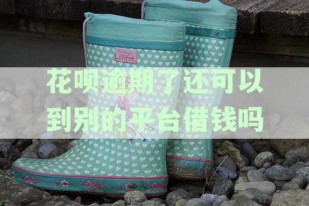 花呗逾期了还可以在其他平台借钱吗？安全可靠吗？