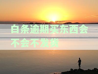 逾期的白条在京东还能购物吗？解决办法一探究竟