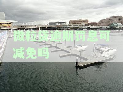 微粒贷逾期罚息减免政策详解：如何合法减轻还款负担并避免逾期罚款