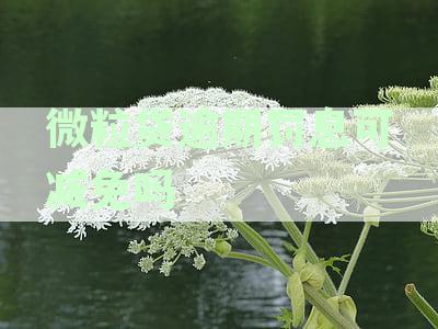 微粒贷逾期后免除利息罚息的详细计算方式和可能性