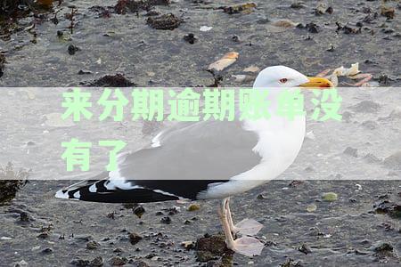 来分期逾期账单恢复：征信、额度、还款问题解答
