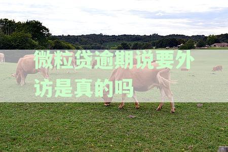 微粒贷逾期：是否存在真的外访和人员走访通知？