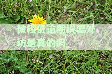 微粒贷逾期外访人员说要报案处理，是真的吗？如果不是真的，应该怎么办呢？