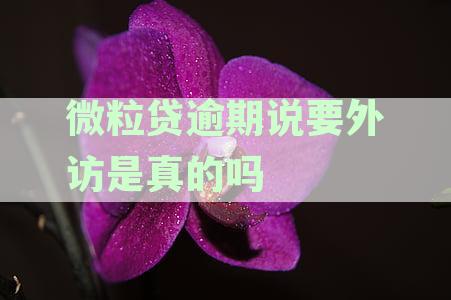 关于微粒贷逾期的外访传闻：真相揭秘