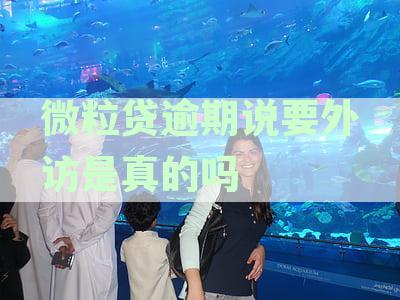 微粒贷会进行外访吗？安全可靠。