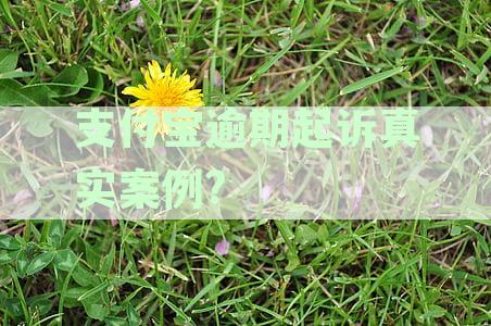 支付宝逾期还款引发的起诉案例全面解析：原因、后果及应对策略