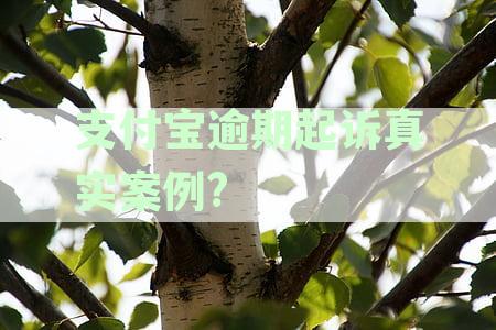 支付宝逾期被起诉的真实案例，是否会留案底？ - 支付宝逾期起诉情况统计