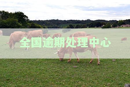 全国信用卡逾期处理热线-为您提供便捷的解决服务