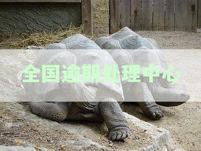 全国信用卡逾期处理中心查询及联系方式