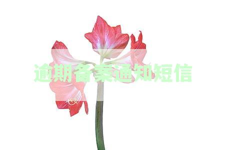 新关于逾期目备案通知的重要提示短信内容解析