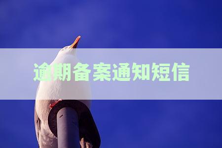 网贷逾期收到备案中心短信是真的通知吗？如果收到，该如何应对？