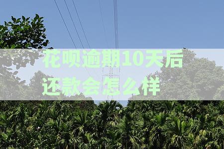花呗逾期10天后还款会怎么样不小心关闭后还能继续使用吗？