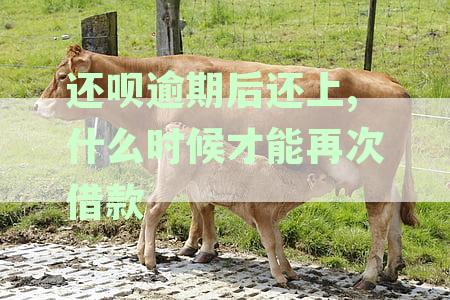 还呗逾期后还上,什么时候才能再次借款
