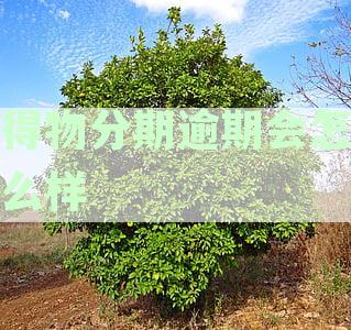 得物分期逾期了怎么办：处理策略与影响分析