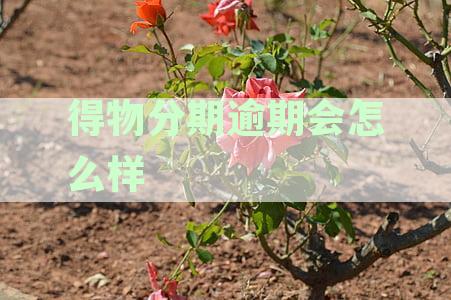 得物分期付款逾期还款一天将产生哪些后果？如何避免影响？