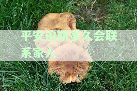 信用卡逾期还款全额要求：平安银行多久处理？