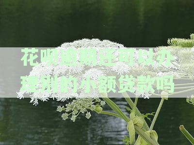 花呗逾期后如何办理其他小额贷款？逾期还款对信用记录的影响及解决办法