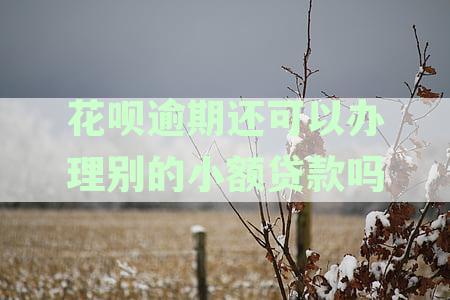 花呗逾期后能否再借其他网贷？如何还款？还能在其他平台借钱吗？