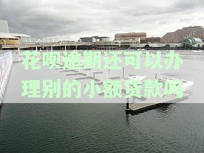 支付宝花呗逾期对银行贷款申请的影响及解决方案