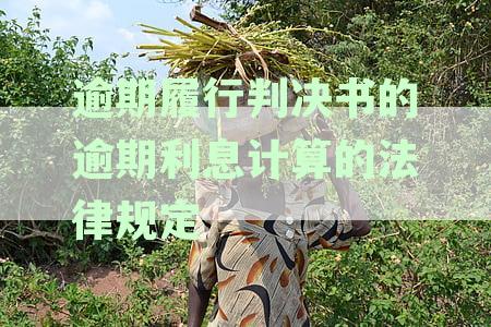 逾期履行判决书的逾期利息计算的法律规定98年：如何计算？