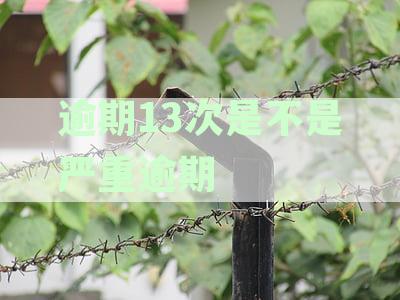 逾期33次后的贷款与车贷难题：理解逾期次数的影响